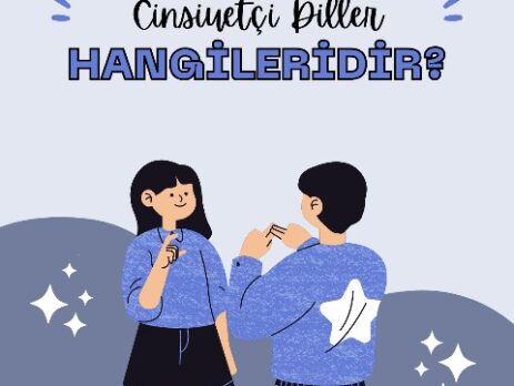 Cinsiyetçi Diller