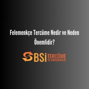 Felemenkçe Tercüme