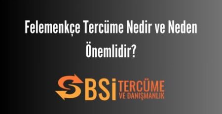 Felemenkçe Tercüme