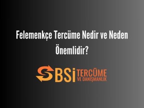 Felemenkçe Tercüme